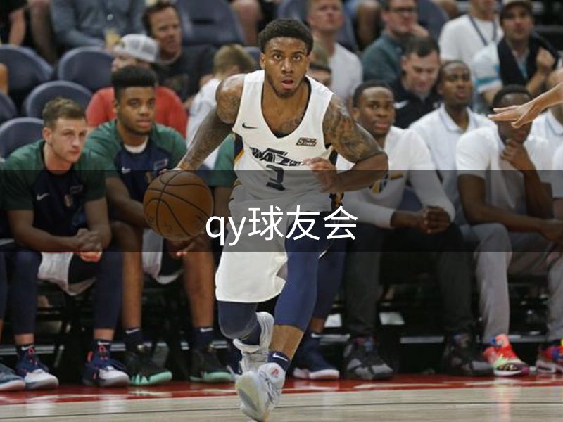 了解qy球友会